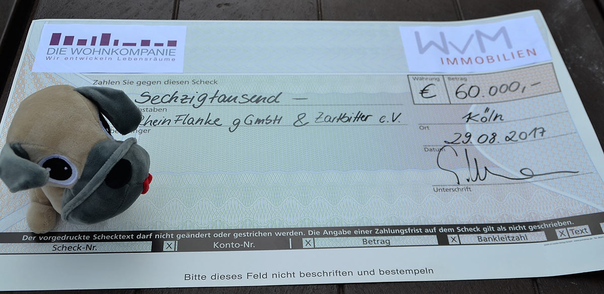 „Die Projektgesellschaft „Wohnen in Köln Butzweilerhof GmbH & Co. KG“ hat an die RheinFlanke gGmbH und Zartbitter Köln e.V. im benachbarten Flüchtlingsheim am Butzweilerhof einen Spendenscheck in Höhe von 60.000 € übergeben.